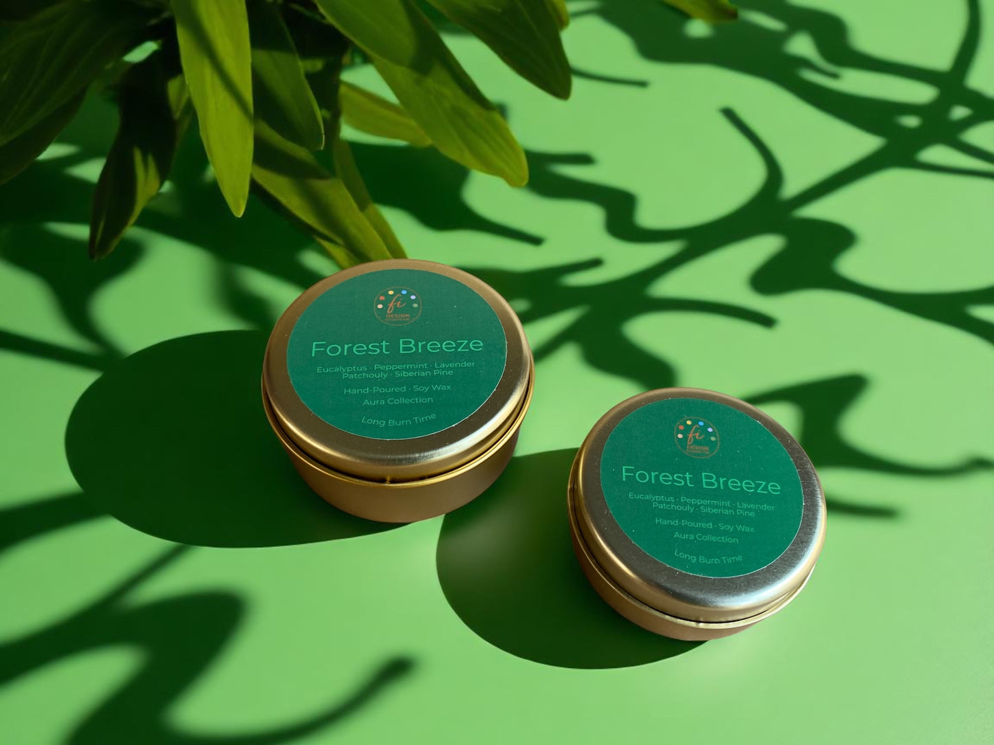 Aura Collection | Forest Breeze