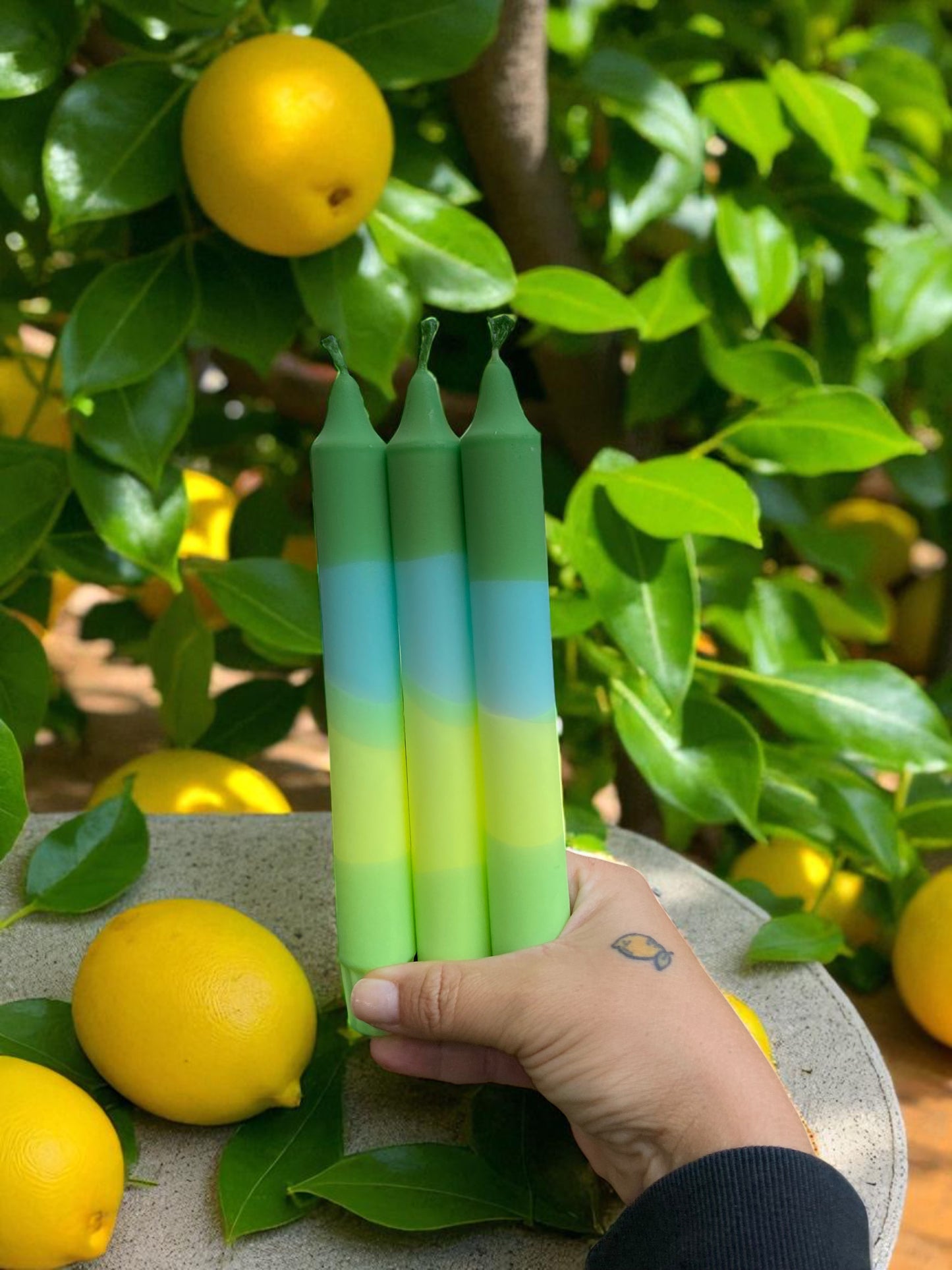 Joyful Glow Koleksiyonu | Green & Yellow & Blue |