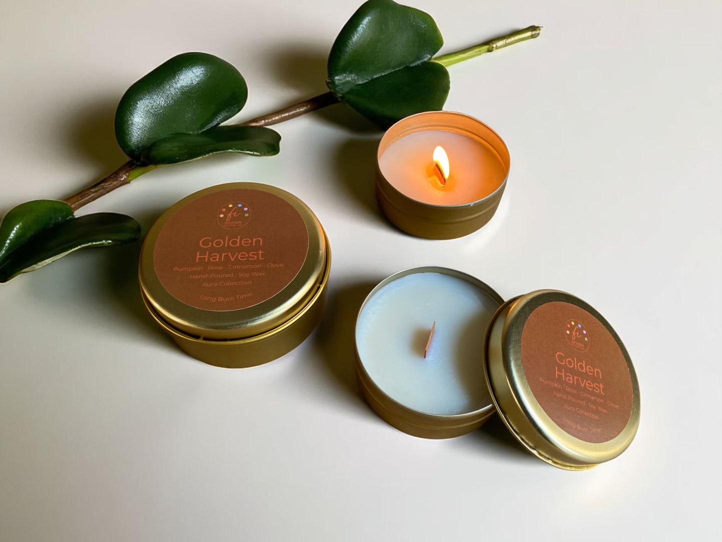 Aura Collection | Golden Harvest