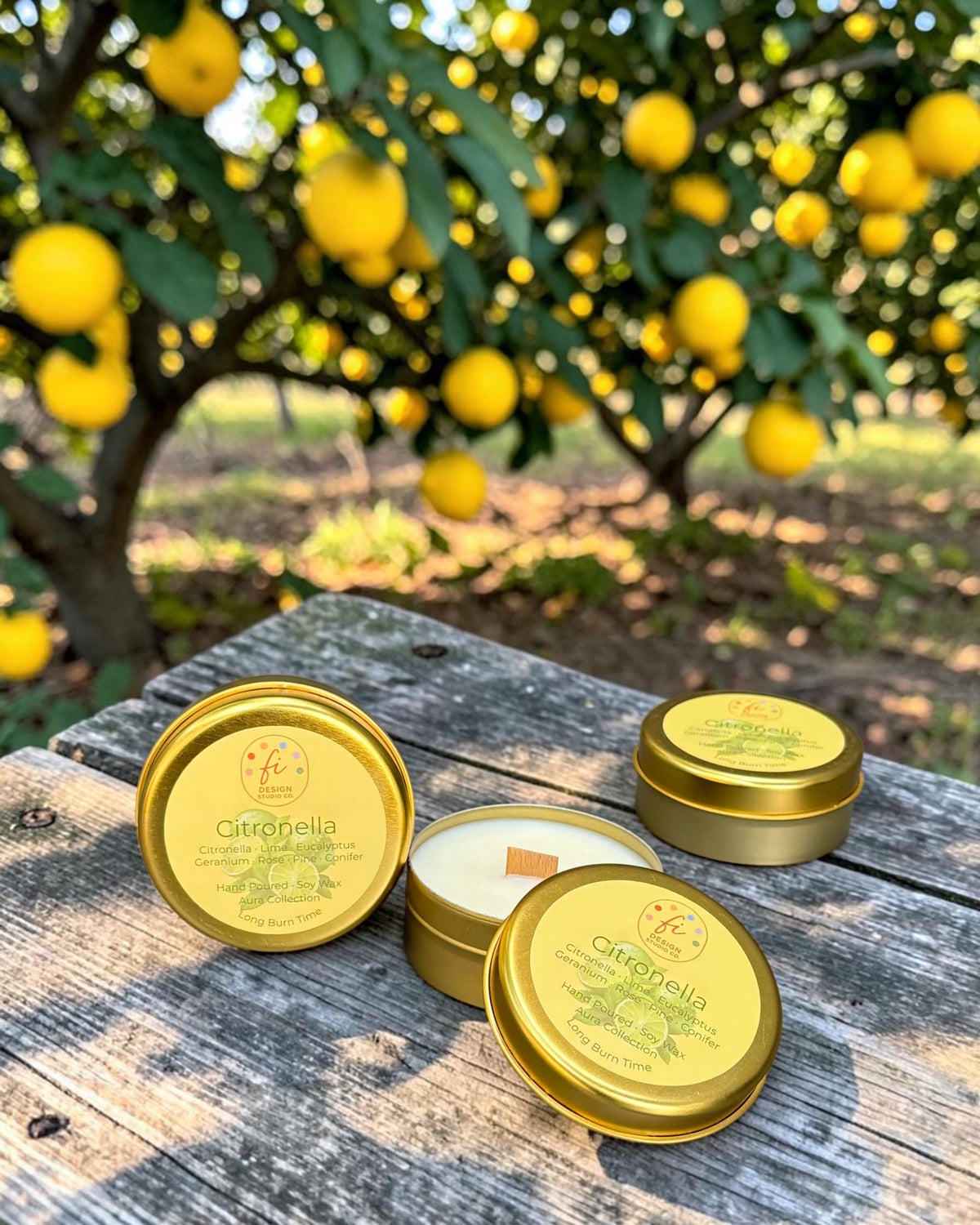 Aura Koleksiyonu | Citronella