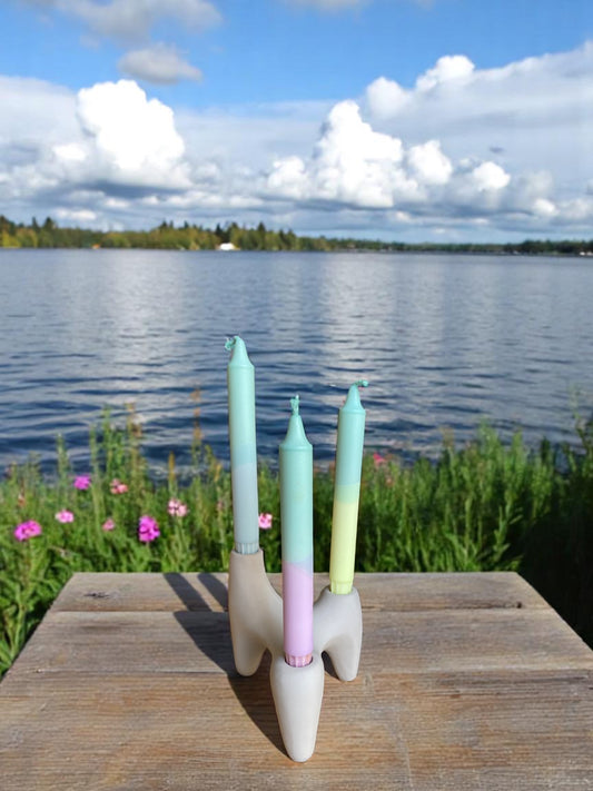 Joyful Glow Collection | Soft Bloom Candle Set | 2.3x20 cm